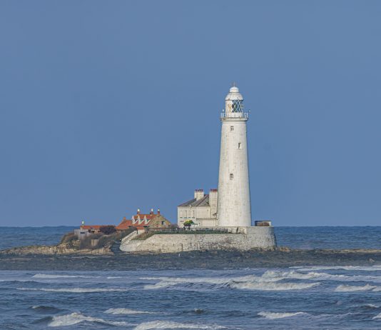 The Ultimate Guide for Visiting Litchfield