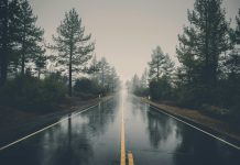 The Ultimate Guide to AI in the Travel Sector