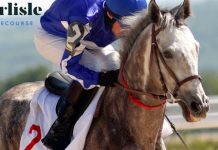 Carlisle Racecourse: What to Expect from Monday Afternoon Flat Racing Odds and Tips