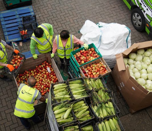 FareShare Sussex & Surrey launches Summer Appeal to fight holiday hunger