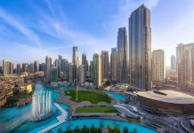Top Small Business Ideas in the United Arab Emirates