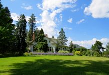 Five improvements you can make to your garden
