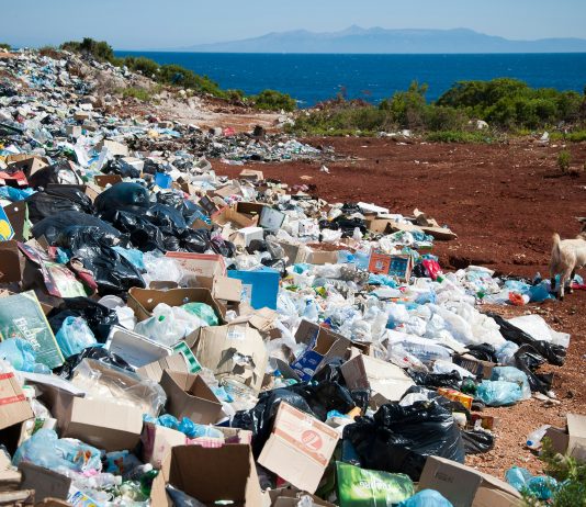 Rescue your recycling – Recycle Right and reduce waste