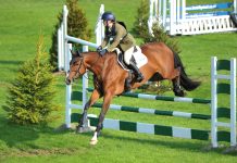 Autumn Show & Horse Trials returns to South of England Showground this September