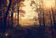 Autumn at Home: How Brighton Locals Are Staying Cosy as Summer Fades
