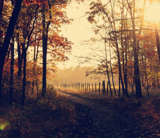 Autumn at Home: How Brighton Locals Are Staying Cosy as Summer Fades