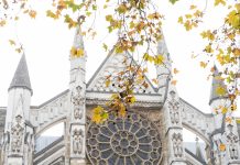 Autumn Escape: Swapping London for a Weekend in Brighton