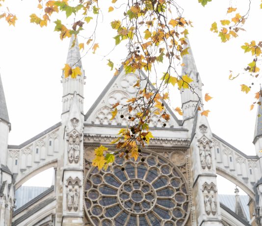 Autumn Escape: Swapping London for a Weekend in Brighton