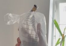 The five oddest last minute Brighton removals