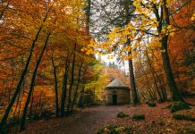 The Best Autumn Destinations to Visit This Year