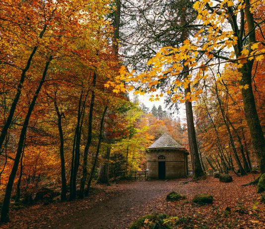 The Best Autumn Destinations to Visit This Year