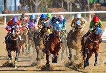 Brighton Bids Farewell to the 2025 Flat Season with Style at Season Finale