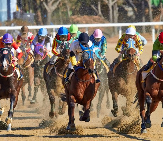 Brighton Bids Farewell to the 2025 Flat Season with Style at Season Finale