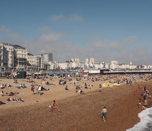 Zero Waste, Zero Stress: How Brighton Businesses Can Master New Recycling Rules