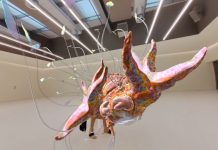 Book now for Dreamy Place & Brighton Screendance festival