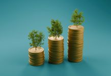 Alternative investments that are as enjoyable as they are valuable