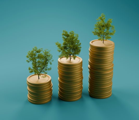 Alternative investments that are as enjoyable as they are valuable