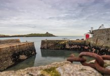 Weekend Feature-Dublin Bay is welcoming back thousands of oysters — nature’s own water-cleaning powerhouses.
