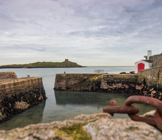 Weekend Feature-Dublin Bay is welcoming back thousands of oysters — nature’s own water-cleaning powerhouses.