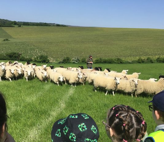 Connecting children with food, farming and nature