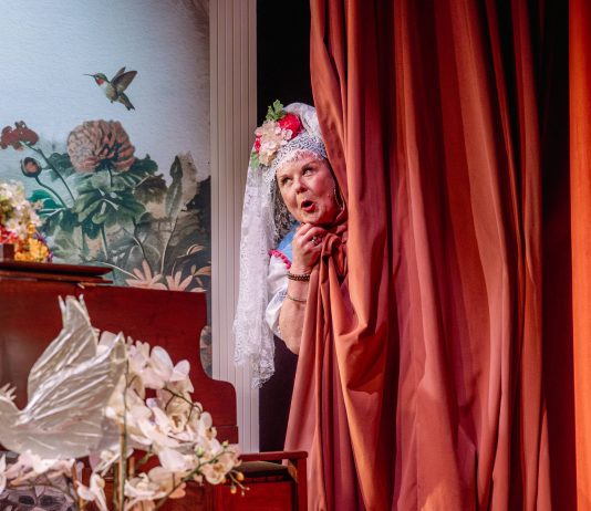 WENDI PETERS STARS IN THE 20TH ANNIVERSARY UK TOUR OF GLORIOUS!