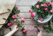 9 Tips For Encouraging Blooms In Flowering Shrubs