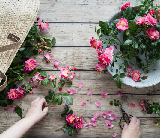 9 Tips For Encouraging Blooms In Flowering Shrubs