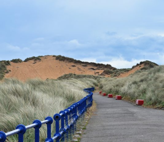 Sustainable Outdoor Practices: How to Reduce Waste on Trails and Beaches