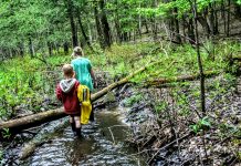 Stories From the Trail: How Nature Teaches Environmental Awareness