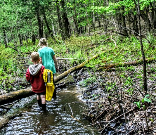 Stories From the Trail: How Nature Teaches Environmental Awareness