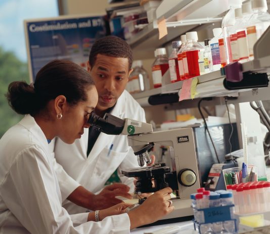 Strengthening Public Health Through Cutting-Edge Research
