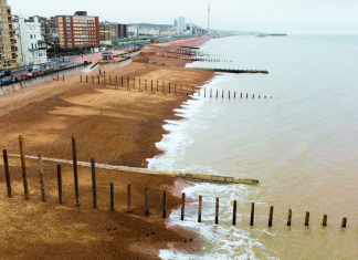 How Brighton Is Fighting to Save Its Coastline — and Why Earth Day Is the Moment to Act