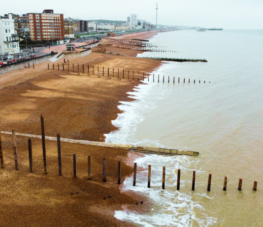 How Brighton Is Fighting to Save Its Coastline — and Why Earth Day Is the Moment to Act