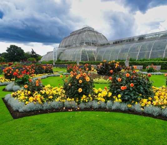 Henry Moore Kew Gardens 2026 | Monumental Nature — Day Trip from Brighton Henry Moore Kew Gardens 2026