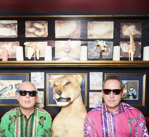 Lulu Is Coming to Brighton Dome and OMD to the Brighton Centre — and Every Ticket Sold Goes to the NHS