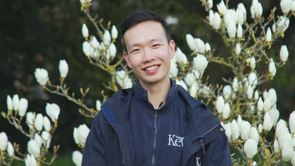 Charles Shi Botanical Horticulturist Kew Gardens Wild Rose expert