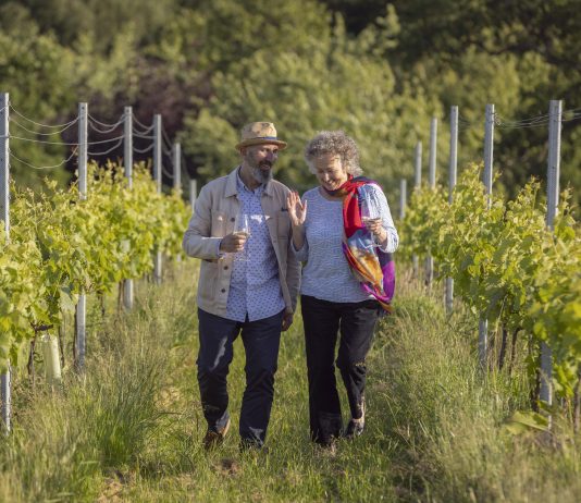 Sussex vineyards uncork summer of retreats, festivals and stargazing
