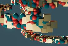Selank Beyond Anxiolysis: Regulatory Peptide Architecture and Expanding Research Horizons