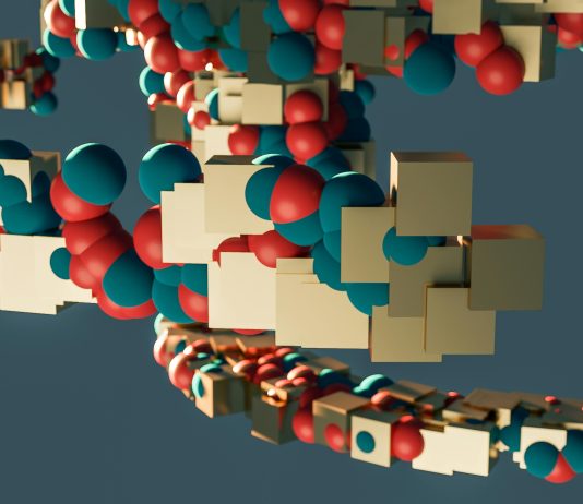 Selank Beyond Anxiolysis: Regulatory Peptide Architecture and Expanding Research Horizons