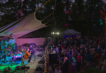 Into The Wild Festival Celebrates Twelve Years Of Music, Nature & Creativity This August