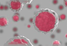 Building Better Cancer Studies Starts With Choosing the Right Cell Line