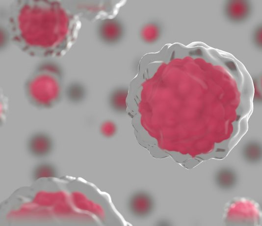 Building Better Cancer Studies Starts With Choosing the Right Cell Line