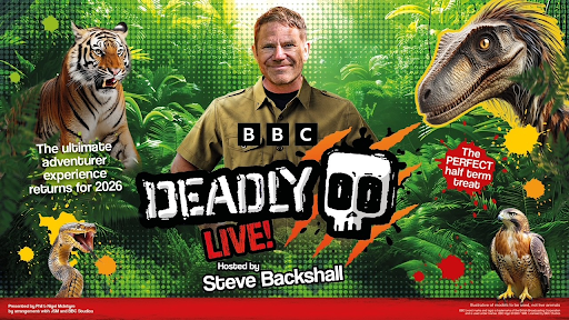 steve backsahll