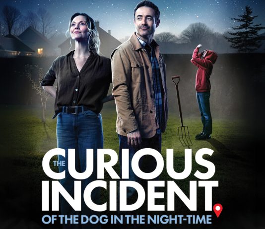 Review: The Curious Incident of the Dog in the Night-Time