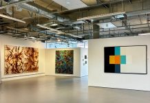 Newhaven creatives benefit from £160k funding from NEZ to grow cultural offering