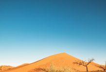 Weekend Read: How El Niño could push up your mortgage and grocery bills