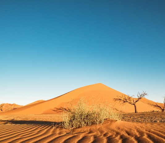 Weekend Read: How El Niño could push up your mortgage and grocery bills